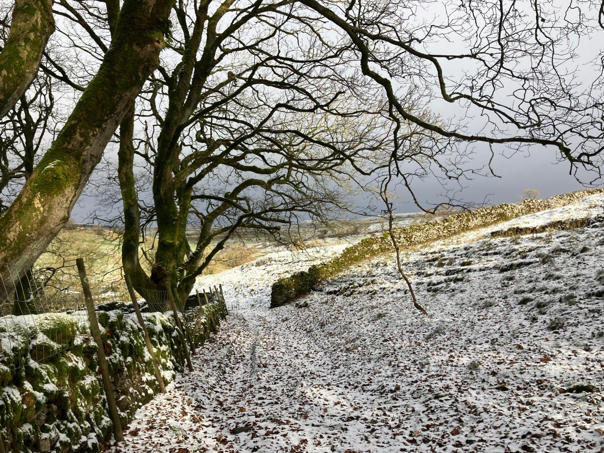 شقة The Snug At Greystones Buckden  المظهر الخارجي الصورة